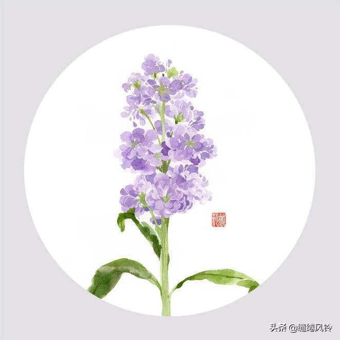 带有花的诗句大全（关于花的词语四个字）
