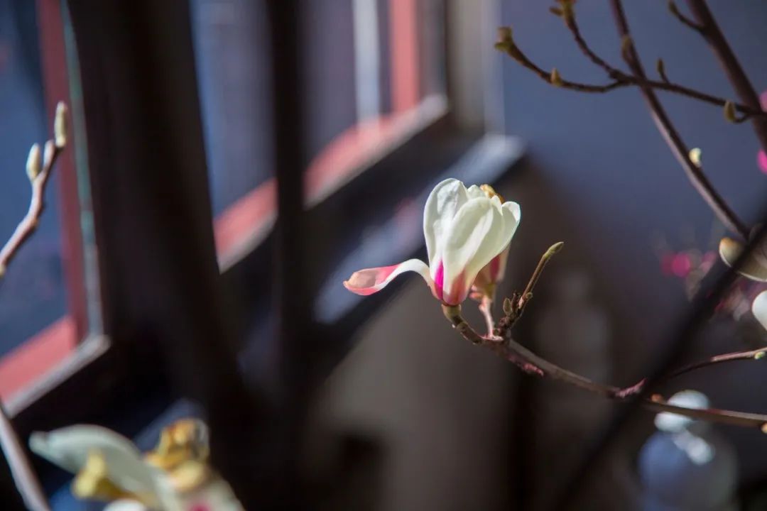 哲理诗句有哪些（蕴含人生哲理的古诗）