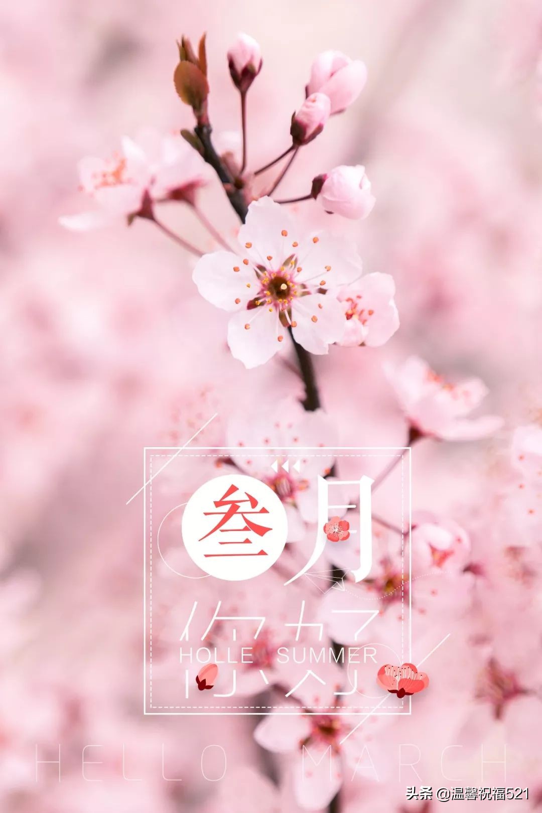 三月祝福语最温馨的话（赞美阳春三月的短句）
