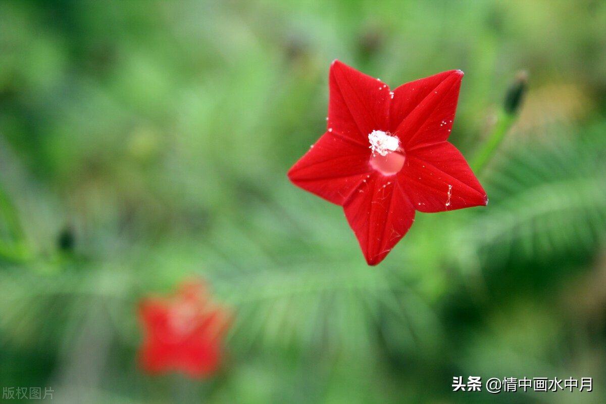 表白的话感人的一段话（最能打动人心的表白短句）