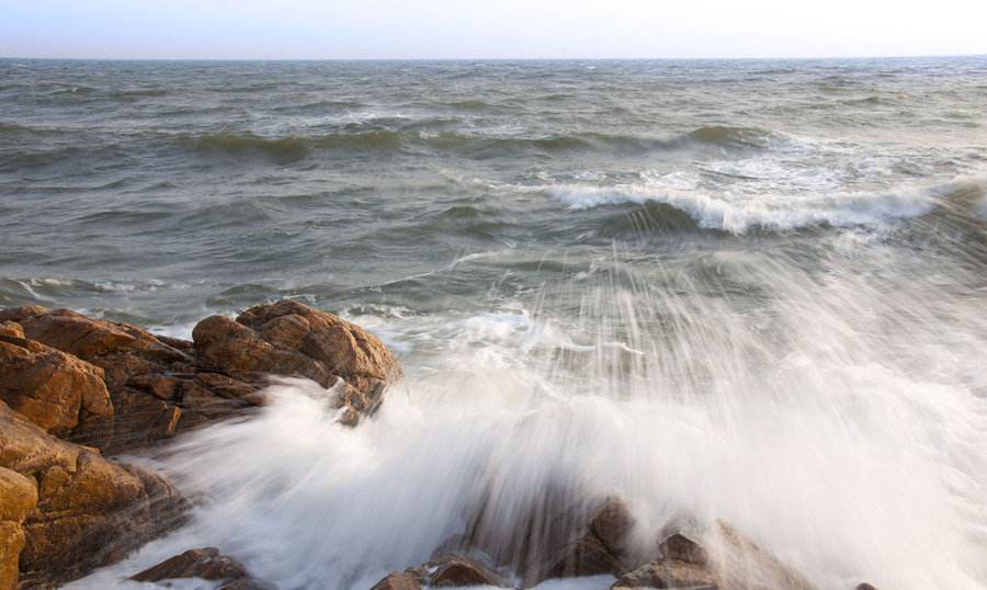 浪淘沙把酒祝东风赏析（把酒祝东风且共从容寓意）