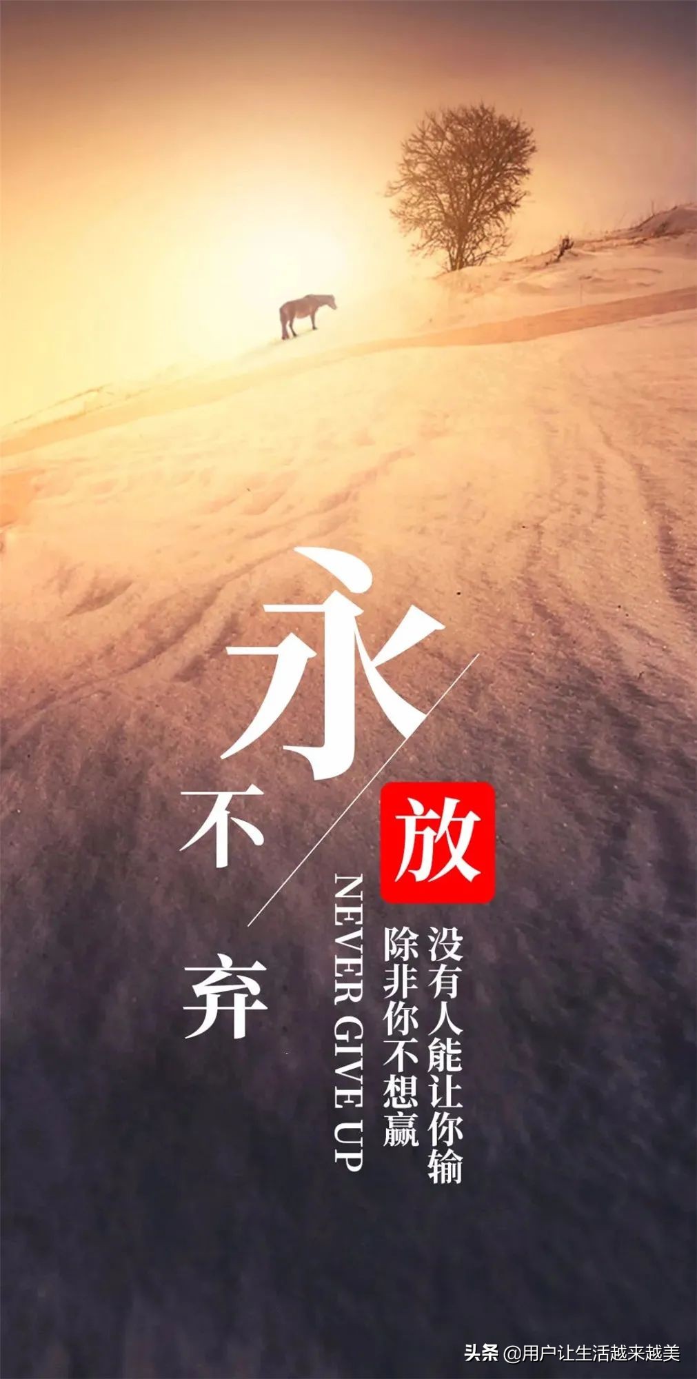 早安心语正能量（每日励志正能量早安心语）