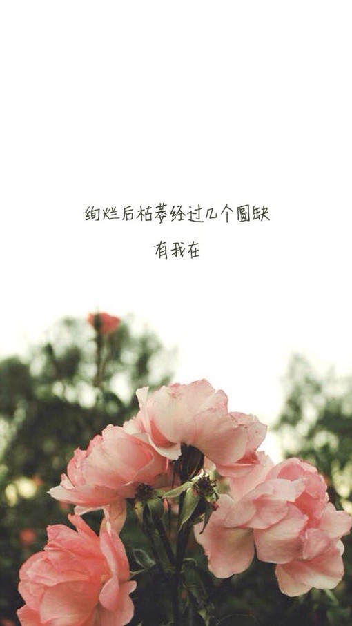 家的温暖唯美句子（描写家温馨的优美句子）