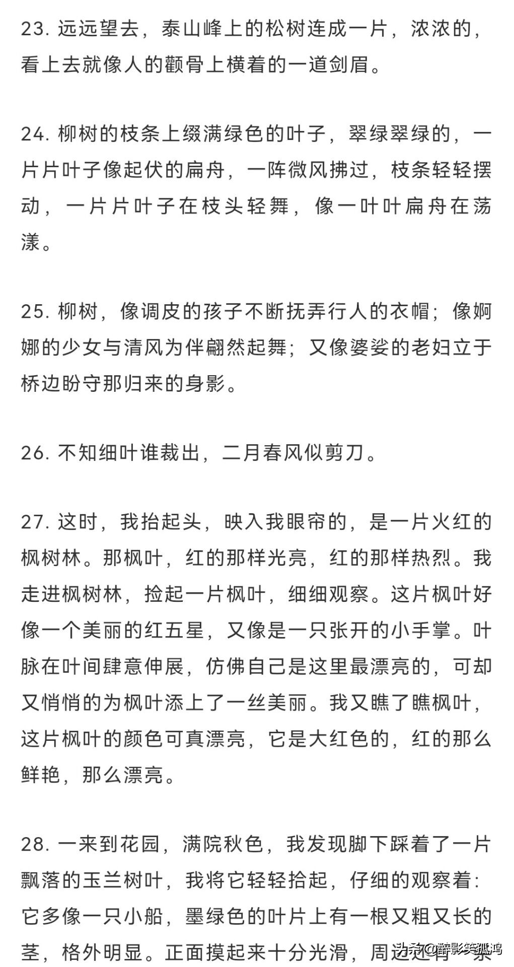 写景的好句（优美的写景句子摘抄）