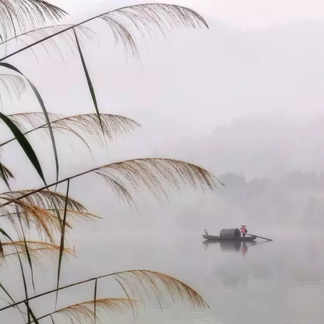 古代名诗名句大全（美到窒息的古典诗句鉴赏）