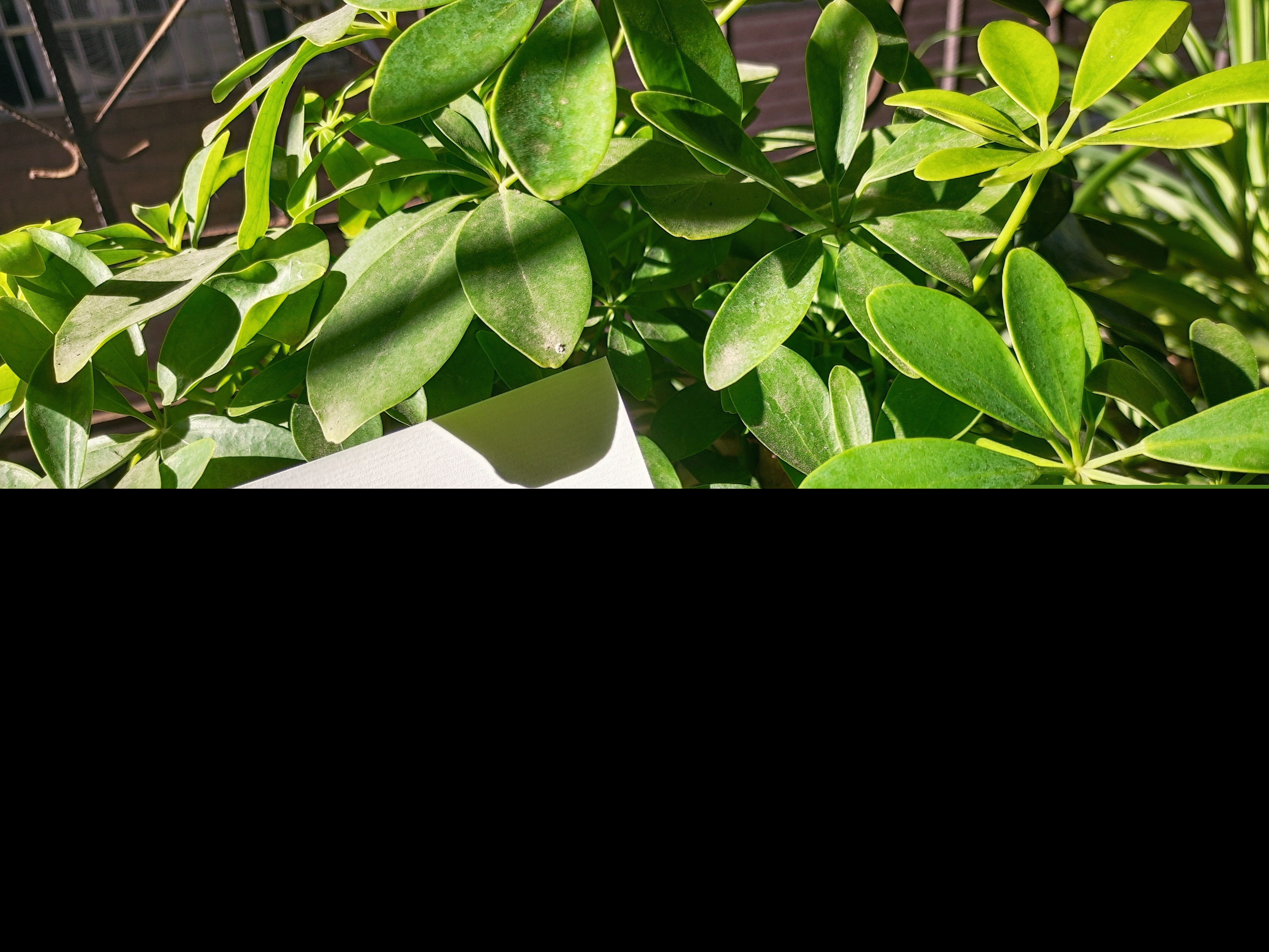 让朋友感动到哭炸的一段话（友谊文案高级感）