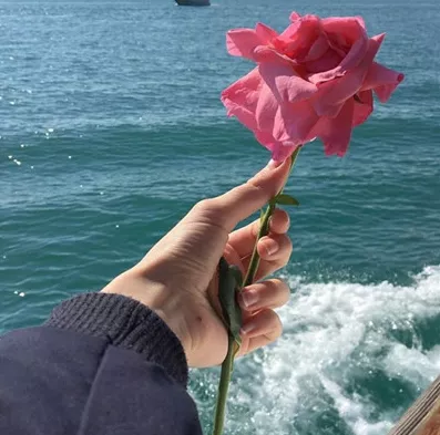 赞美老师的短文50字（感恩老师的优美段落）
