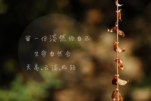 优美文段摘抄赏析（摘抄经典优美句子加赏析）