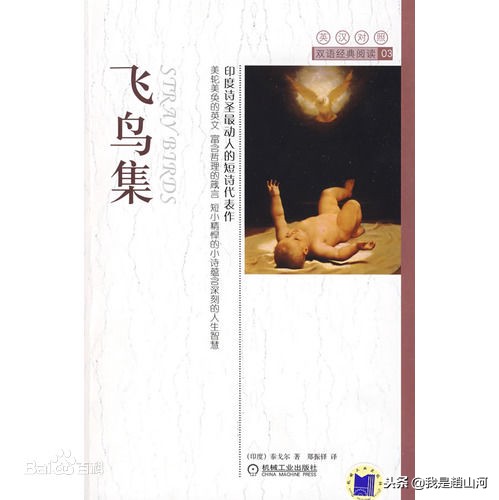 泰戈尔诗选最美的十首诗（最美的诗歌泰戈尔诗选最美的十首诗）
