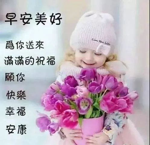 送祝福的唯美句子（唯美祝福有诗意的句子）