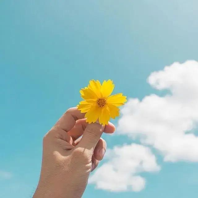 简短走心的句子励志（关于心态激励语的短句）