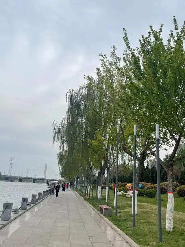 长歌行的诗意简短（长歌行的译文和赏析）