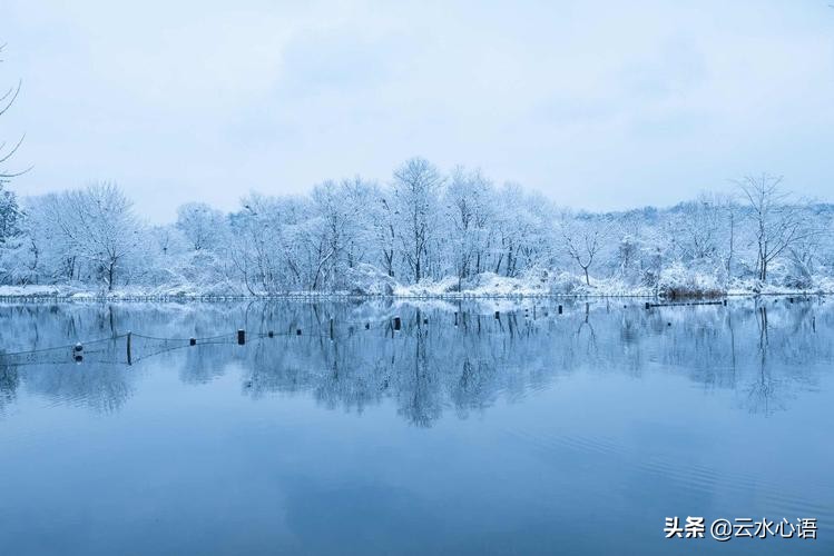 文徽明的绝句古诗（绝句古诗的意思及赏析）