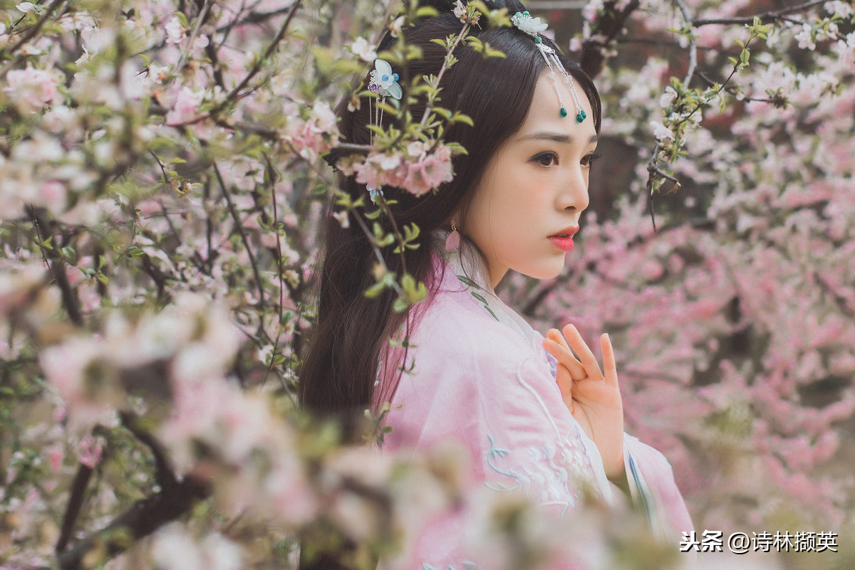 爱字开头的诗句有哪些（含有爱字开头的唯美诗句）