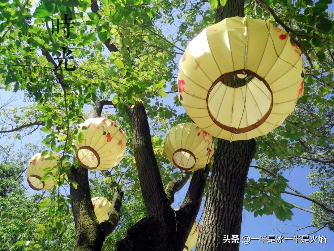 关于散文诗大全（散文诗精选摘抄）