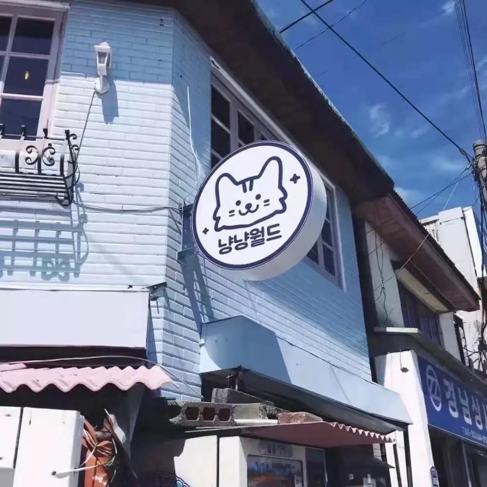 有哲理的网名昵称（富有哲理与诗意的昵称）