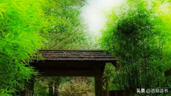竹里馆王维翻译（竹里馆诗歌鉴赏）
