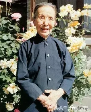 冰心成功的花儿赏析（冰心成功的花的哲理）