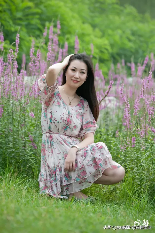 白居易诗集经典（白居易诗集大全鉴赏）