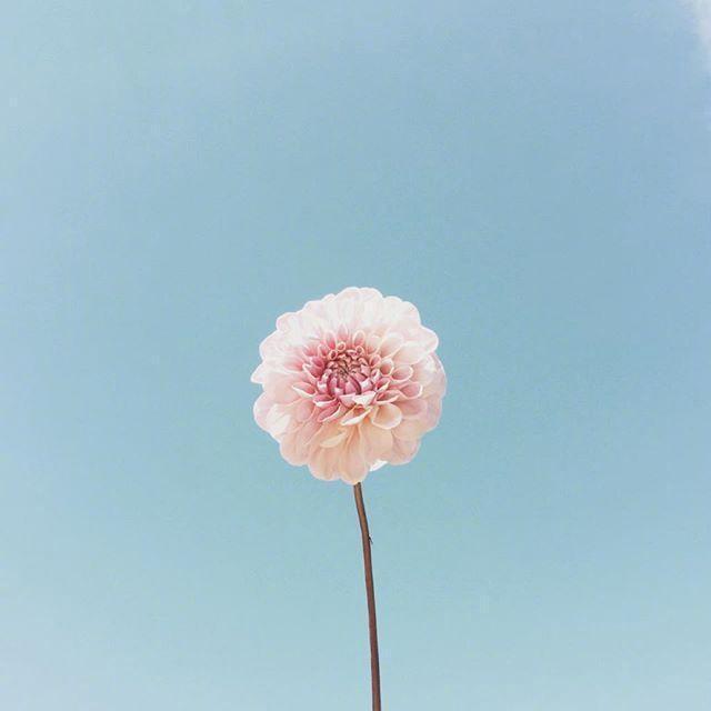母亲节祝福语简短语句（写一句表达对妈妈爱的话）