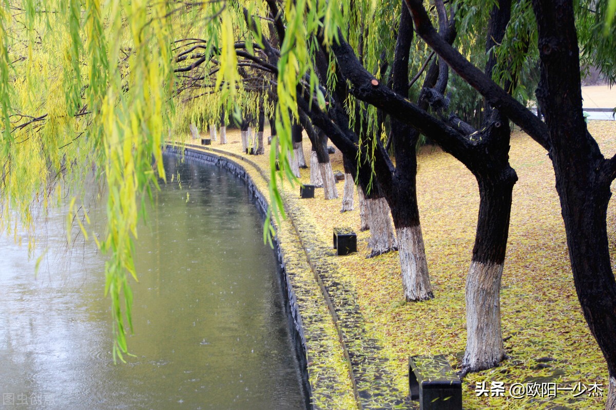描写秋雨的句子佳句（写秋雨的唯美句子开头）