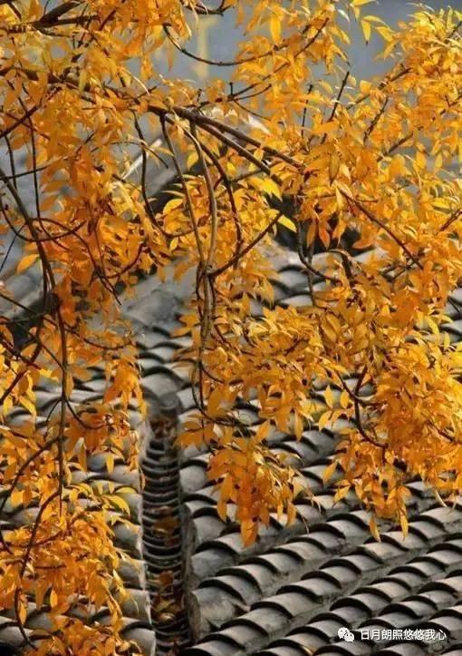 何陋轩记翻译及注释（何陋轩记中的典章礼乐）