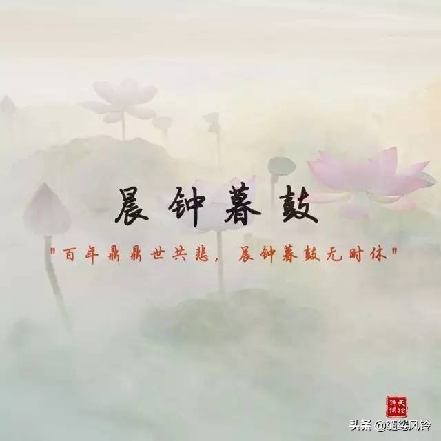 夸女孩子的四字词语（夸女生漂亮唯美成语）