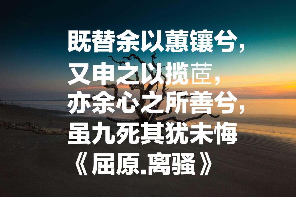 屈原的诗句唯美（屈原的名言名诗）