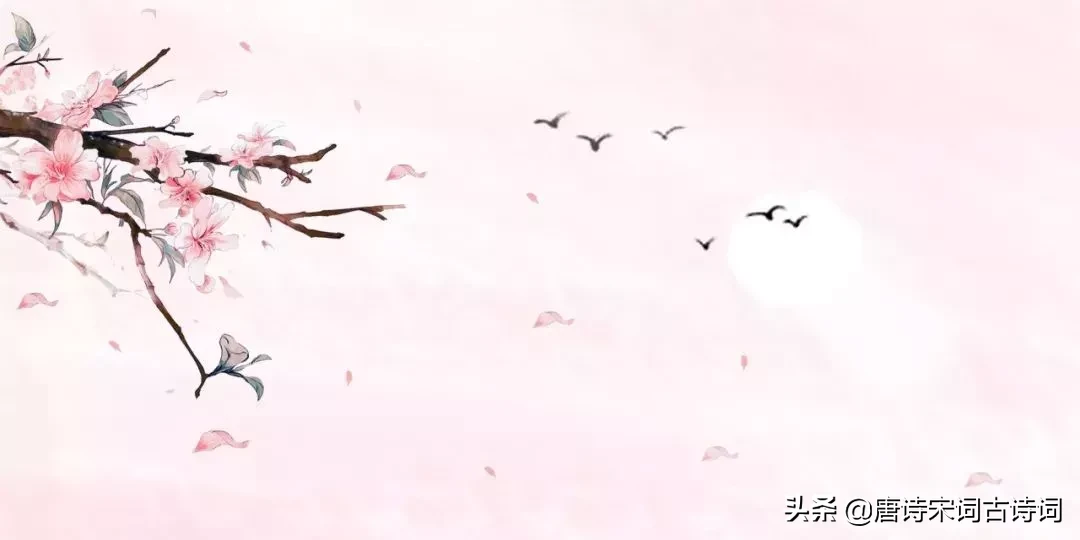 描写桃花的诗词名句（赞美桃花的名言佳句）