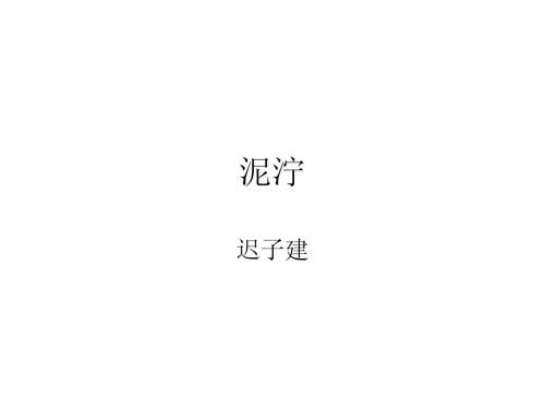 泥泞迟子建读后感（迟子建散文泥泞主旨）