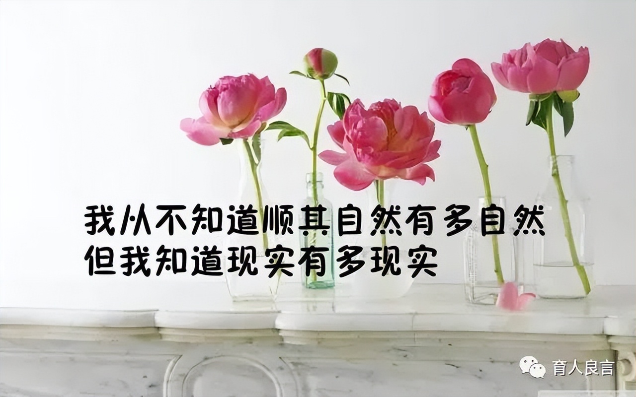 哲理句子人生感悟（关于感悟人生的句子）