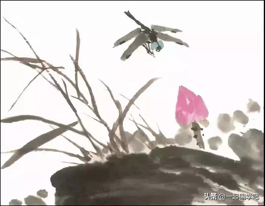 树阴照水爱晴柔是什么意思（小池古诗全诗及翻译）