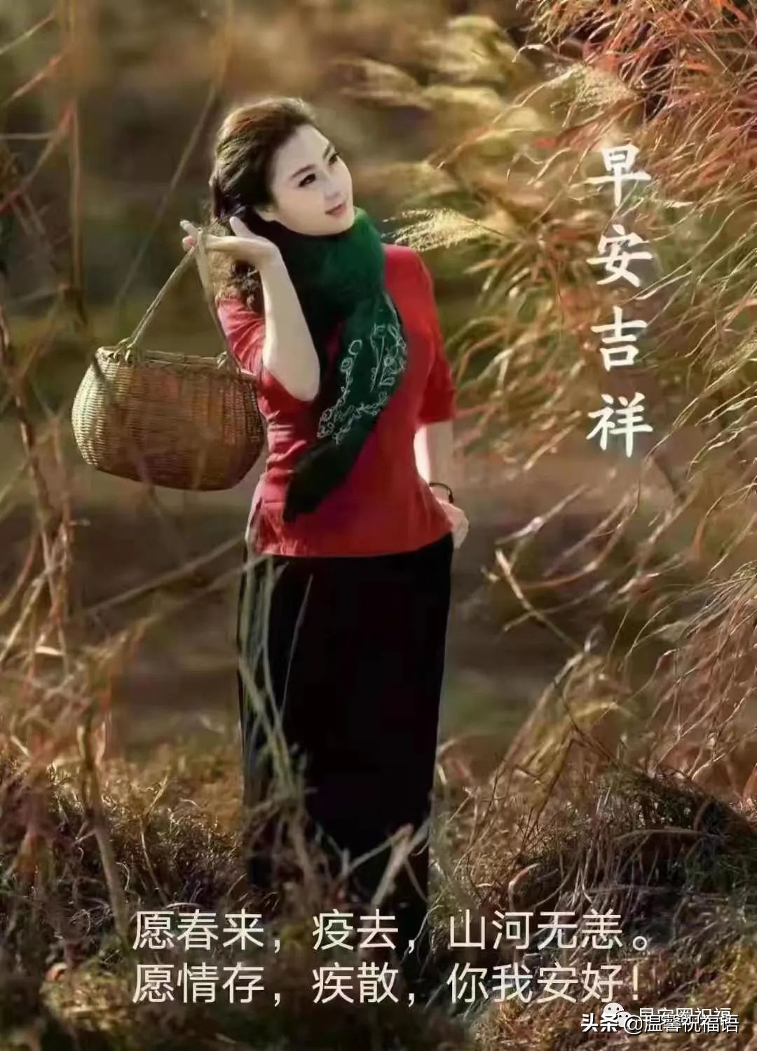 简短疫情平安祝福语（疫情的精美句子）