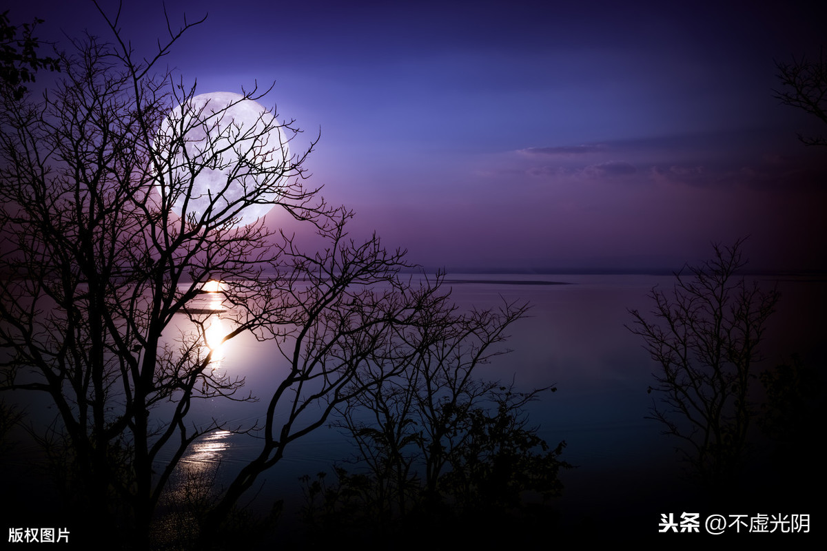 十五夜望月的译文简短（十五夜望月全诗赏析）