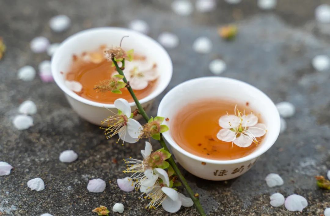 春天诗句唯美古诗（形容春天的诗句唯美）