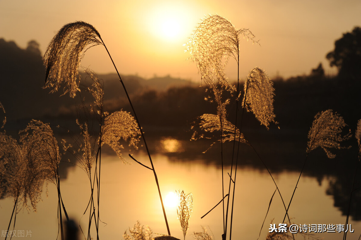 含有云的诗句有哪些（描写云的诗词欣赏）