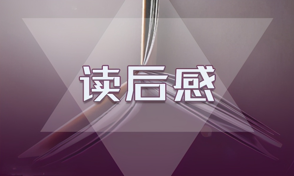 读老人与海鸥有感500字（老人与海鸥的感受心得）