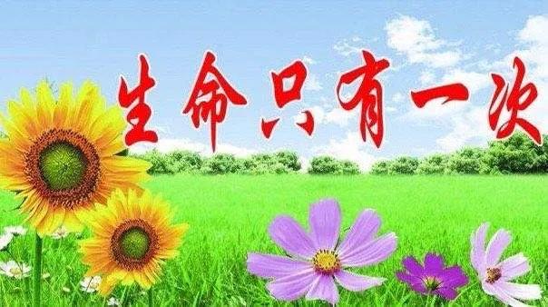 珍爱生命名言佳句（名言名句优美句子摘抄）