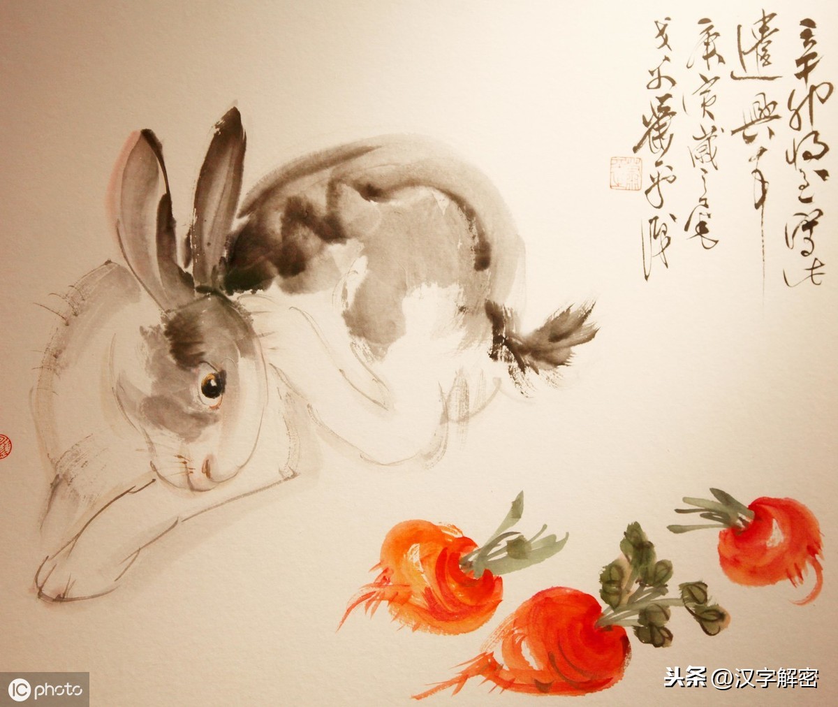 带兔字的成语有哪些（带兔的四字成语大全）
