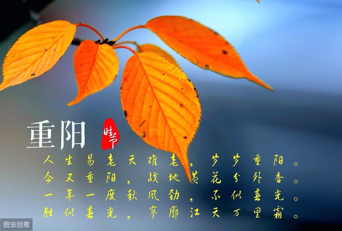 采桑子重阳原文（毛泽东采桑子·重阳原文及赏析）