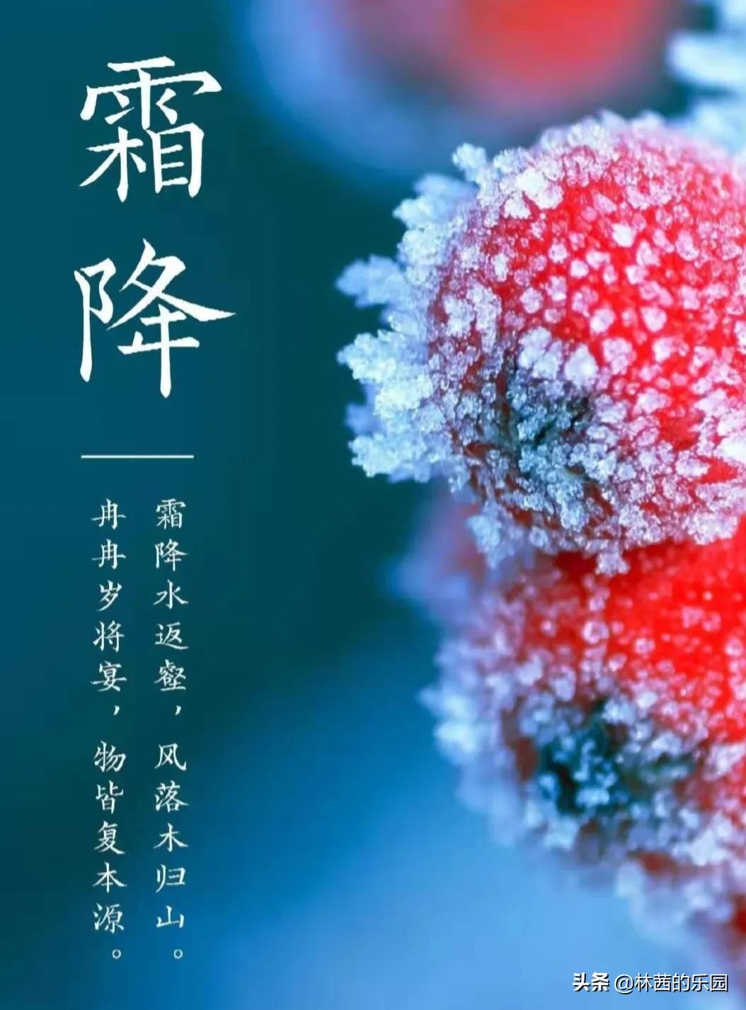 描写霜降的古诗精选（关于霜降的唯美诗句）