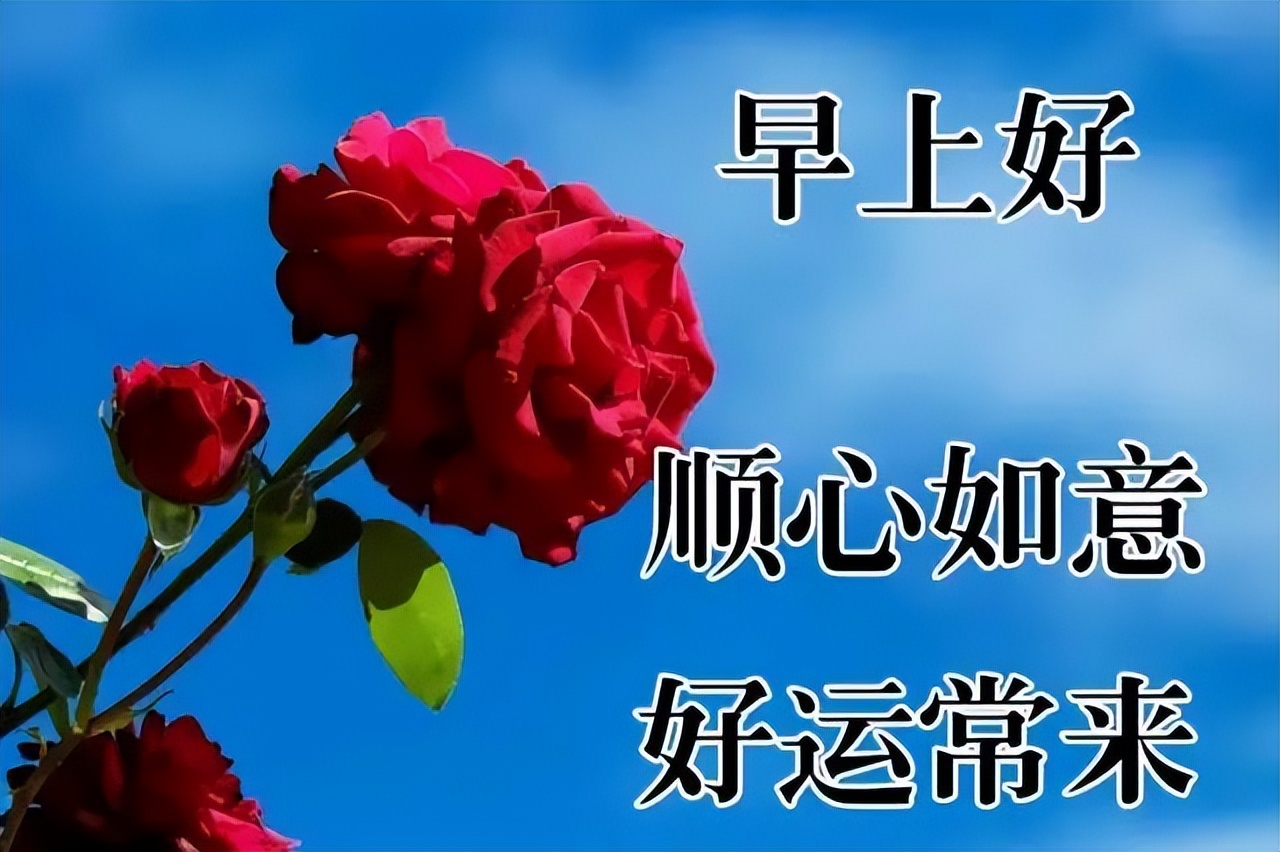 经典早安正能量的句子（简单乐观心态的句子）