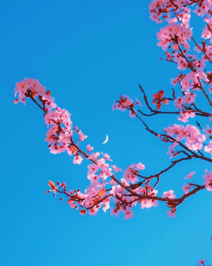 经典人生感悟句子短语（感悟生活的句子简短）