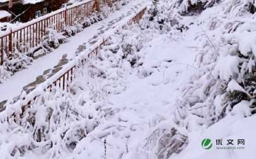关于雪的作文400字左右（描写雪的优美片段）