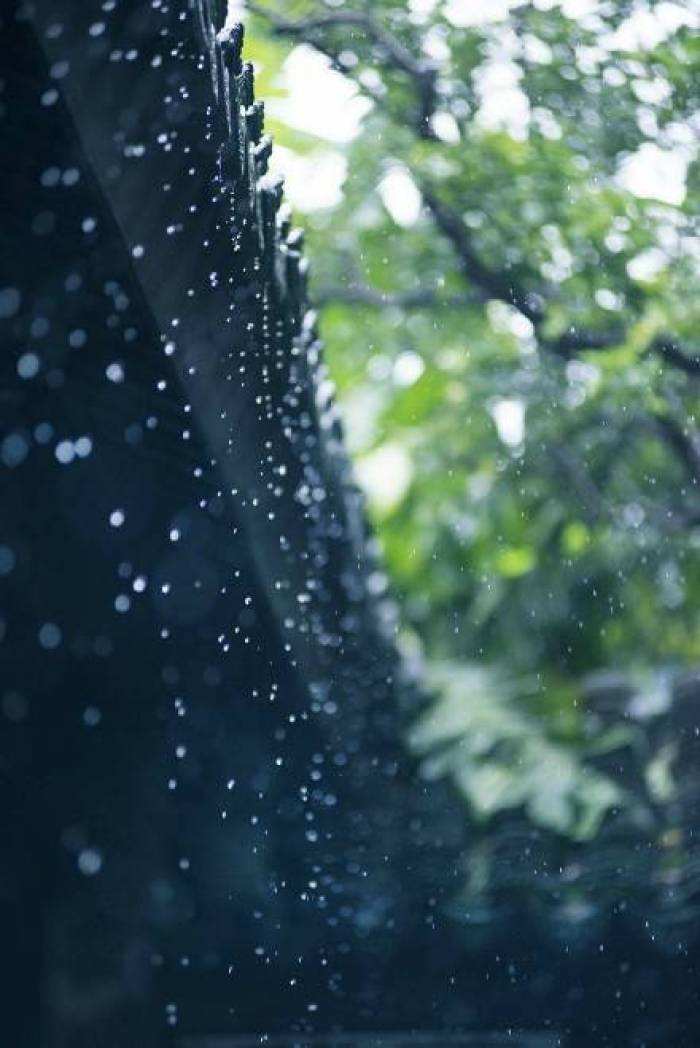 雨开头的诗句有哪些（关于雨的唯美句子简短）