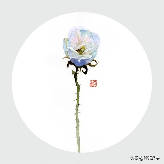带有花的诗句大全（关于花的词语四个字）