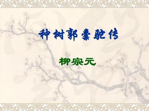 郭橐驼种树要点是什么（种树郭橐驼传翻译及注释）