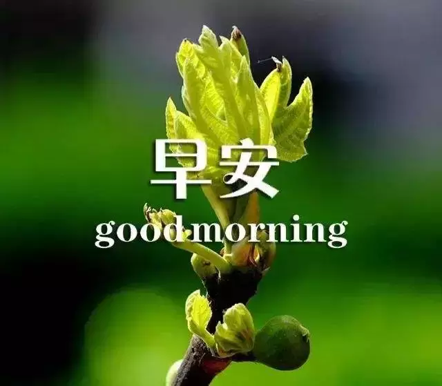 经典炫舞印象句子（炫舞游戏文案短句）