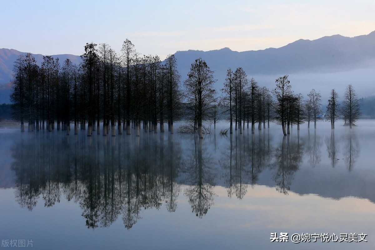人生如梦是什么意思（人生如梦表达意思）