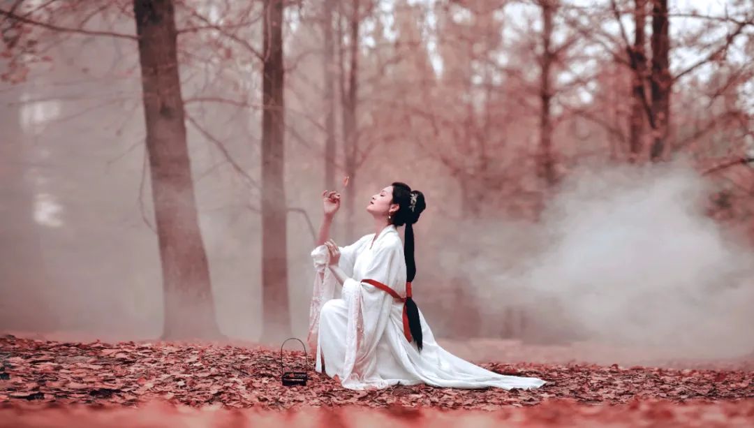 喝酒的诗句经典句子（关于醉酒的唯美句子）